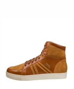 Trueday.shop1242103c5d 1