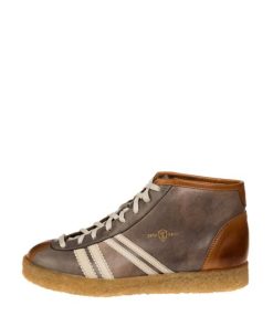 Trueday.shop522ae78ff1 1