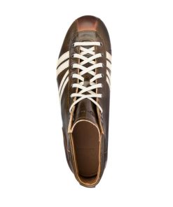 Trueday.shop56101ee331 2