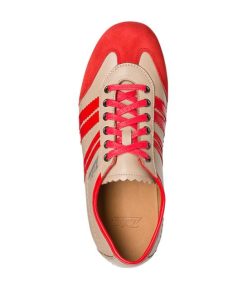 Trueday.shop8cba5fba46 2