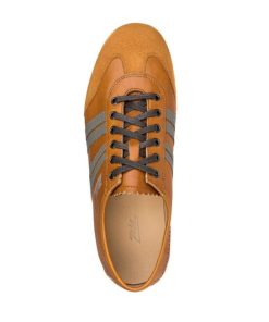 Trueday.shopffcb3b6162 2